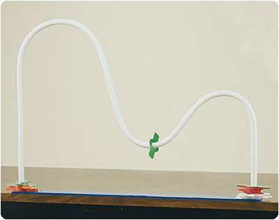 Double Curved Shoulder Arc