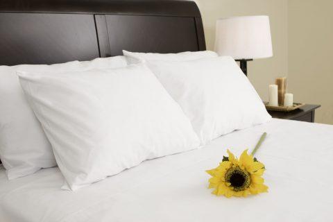 Pillowcases Percale 70%Polyester/30%Cotton 42x34 5dz/pk
