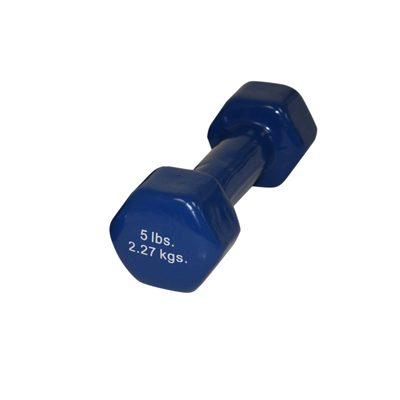 Vinyl Coated Dumbbell 5 Lb Blue