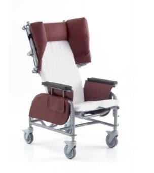 Sashay Pedal Wheelchair 350lb Cap