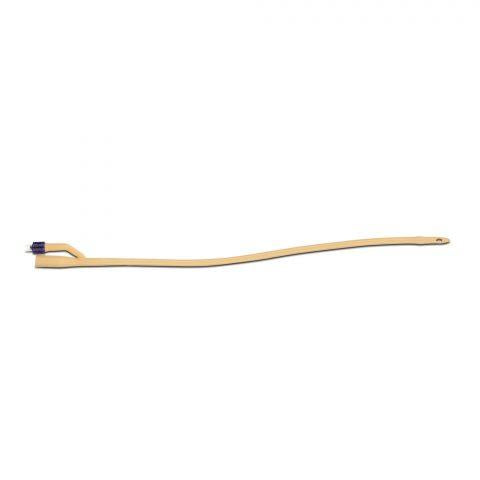 Bardex Infection Control Foley Catheter Silver Hydrogel Coated Latex 2-Way 5cc 22fr.12/bx